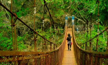 Double Decker Living Root Bridge, Nongriat