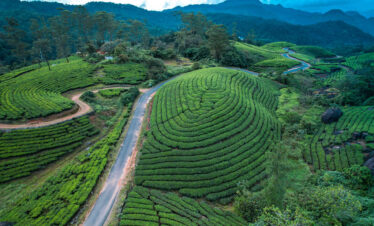 munnar