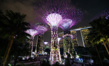 gardens by the bay