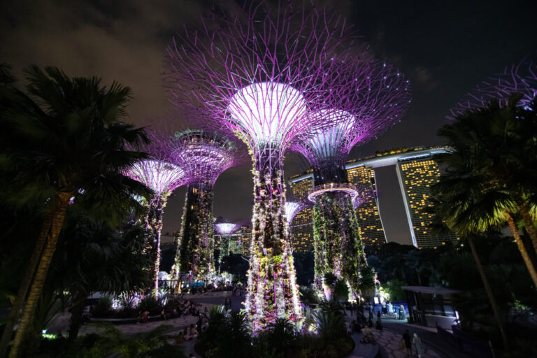 gardens by the bay