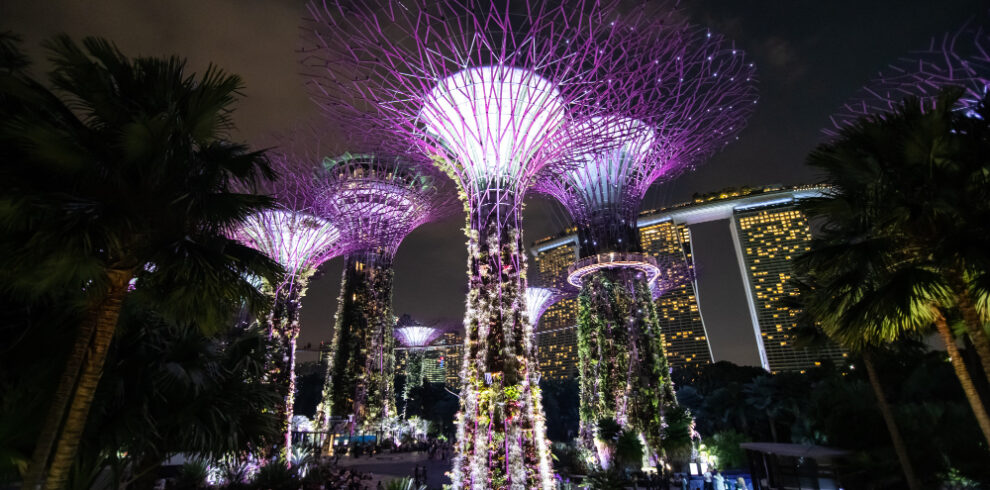 gardens by the bay