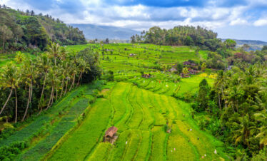 ubud