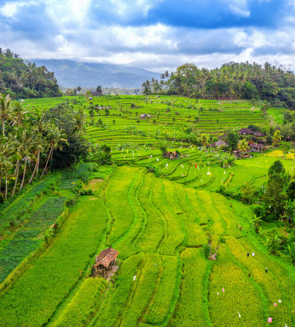 ubud