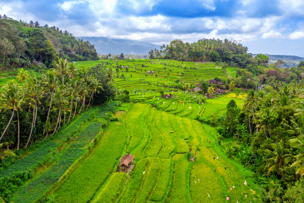 ubud