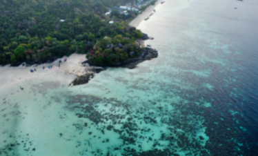 Coral Island