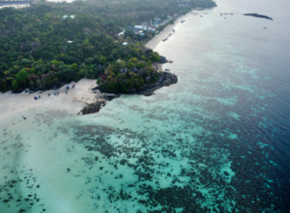 Coral Island