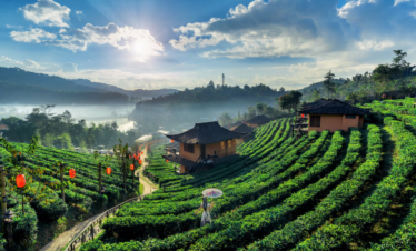 Sapa village view