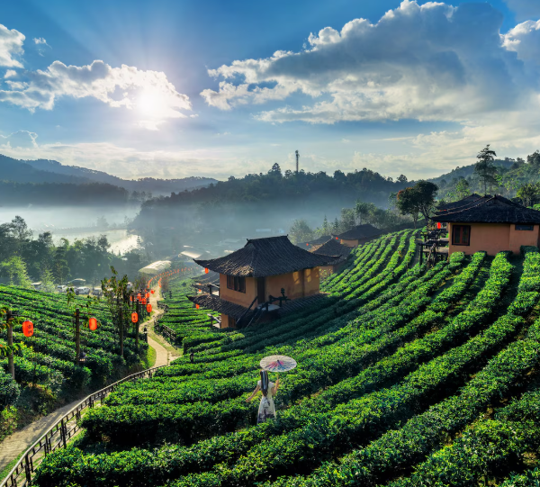 Sapa village view