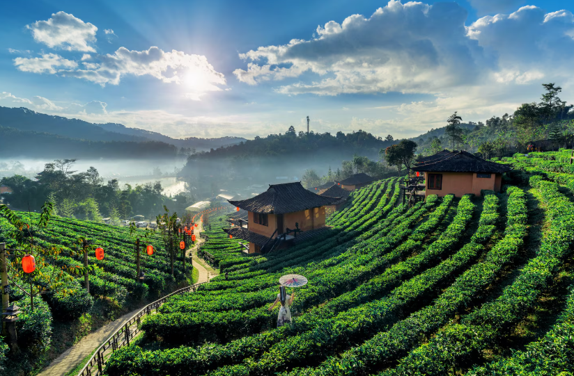 Sapa village view