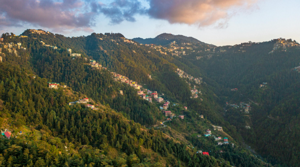 Shimla