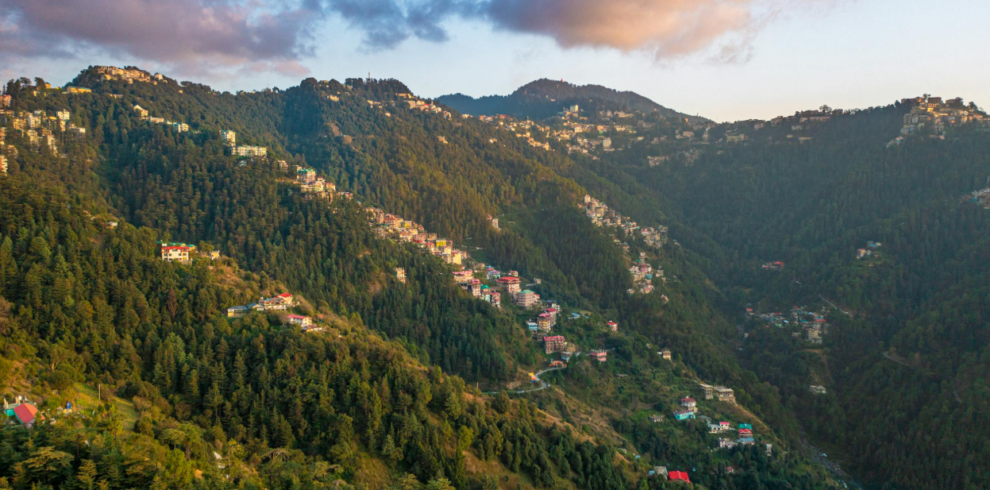 Shimla
